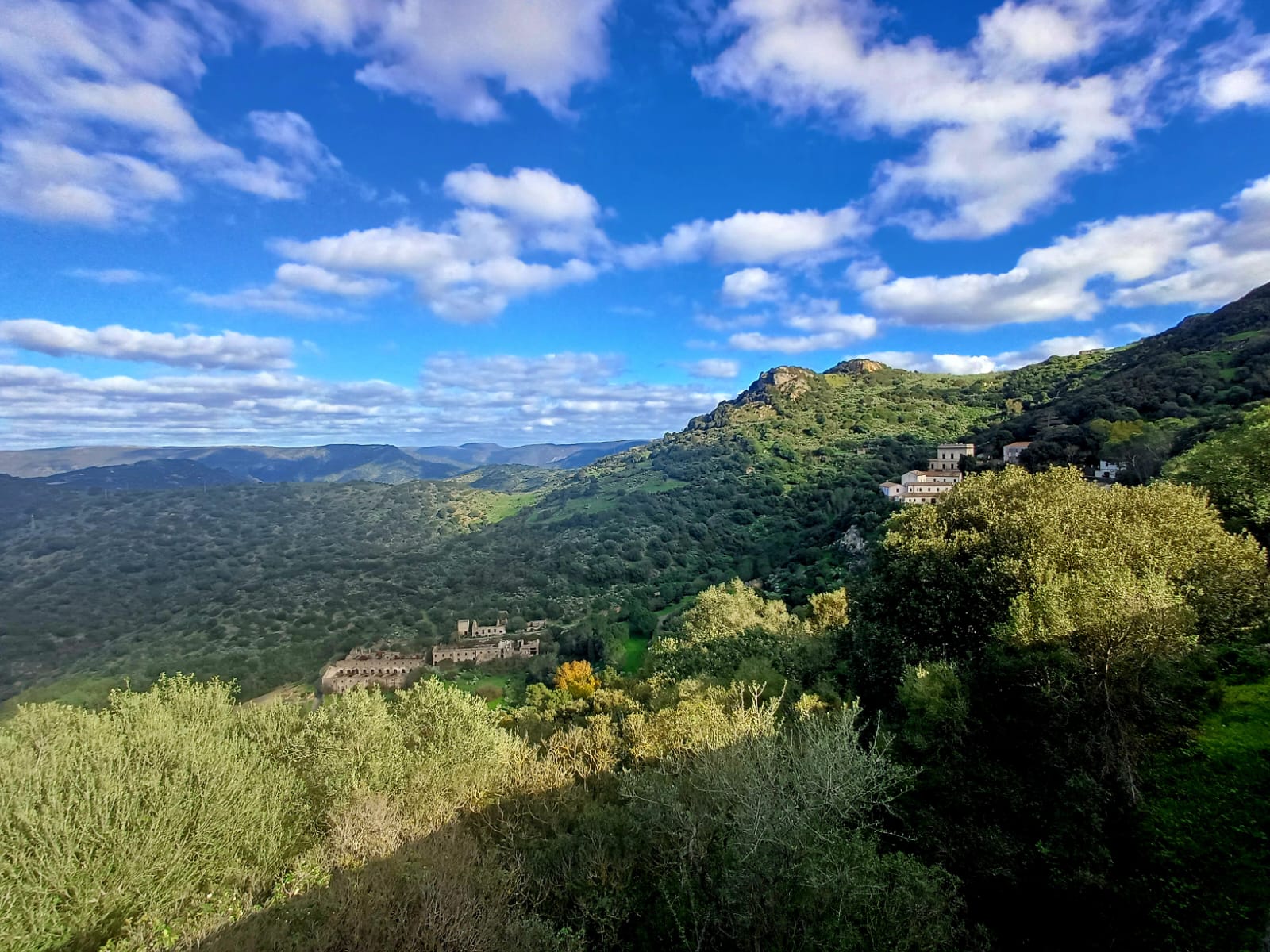 {fn:escapeXml(value.Image.value.Description)}